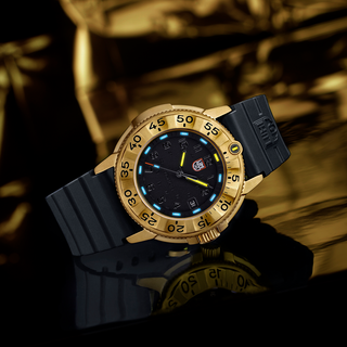 Luminox 3221.NSF, Navy SEAL Foundation, Military Dive Watch, 43 mm