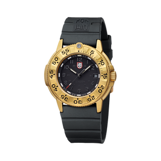 Luminox 3221.NSF, Navy SEAL Foundation, Military Dive Watch, 43 mm