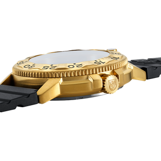 Luminox 3221.NSF, Navy SEAL Foundation, Military Dive Watch, 43 mm